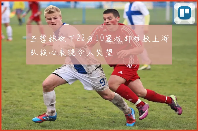 王哲林砍下22分10篮板却难救上海队核心表现令人失望