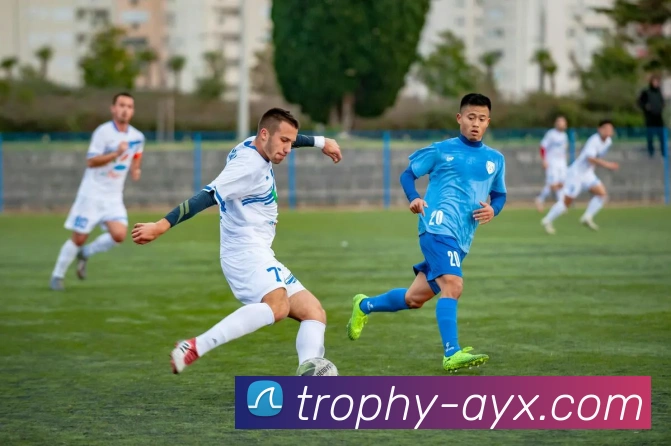 爱游戏平台生态图